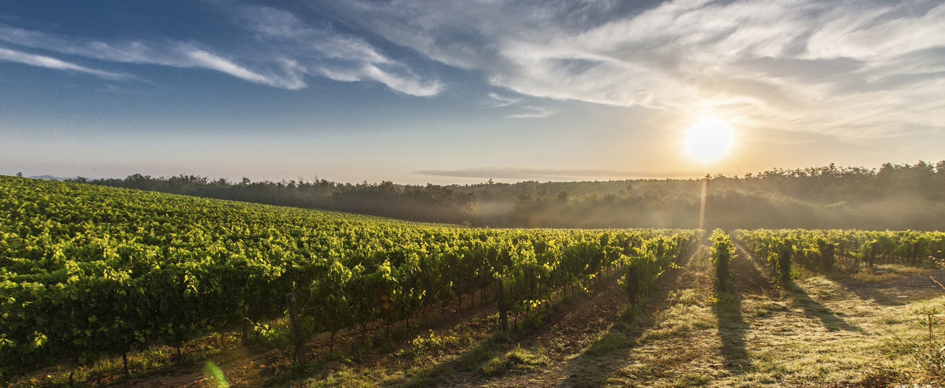 inici formacio coop1